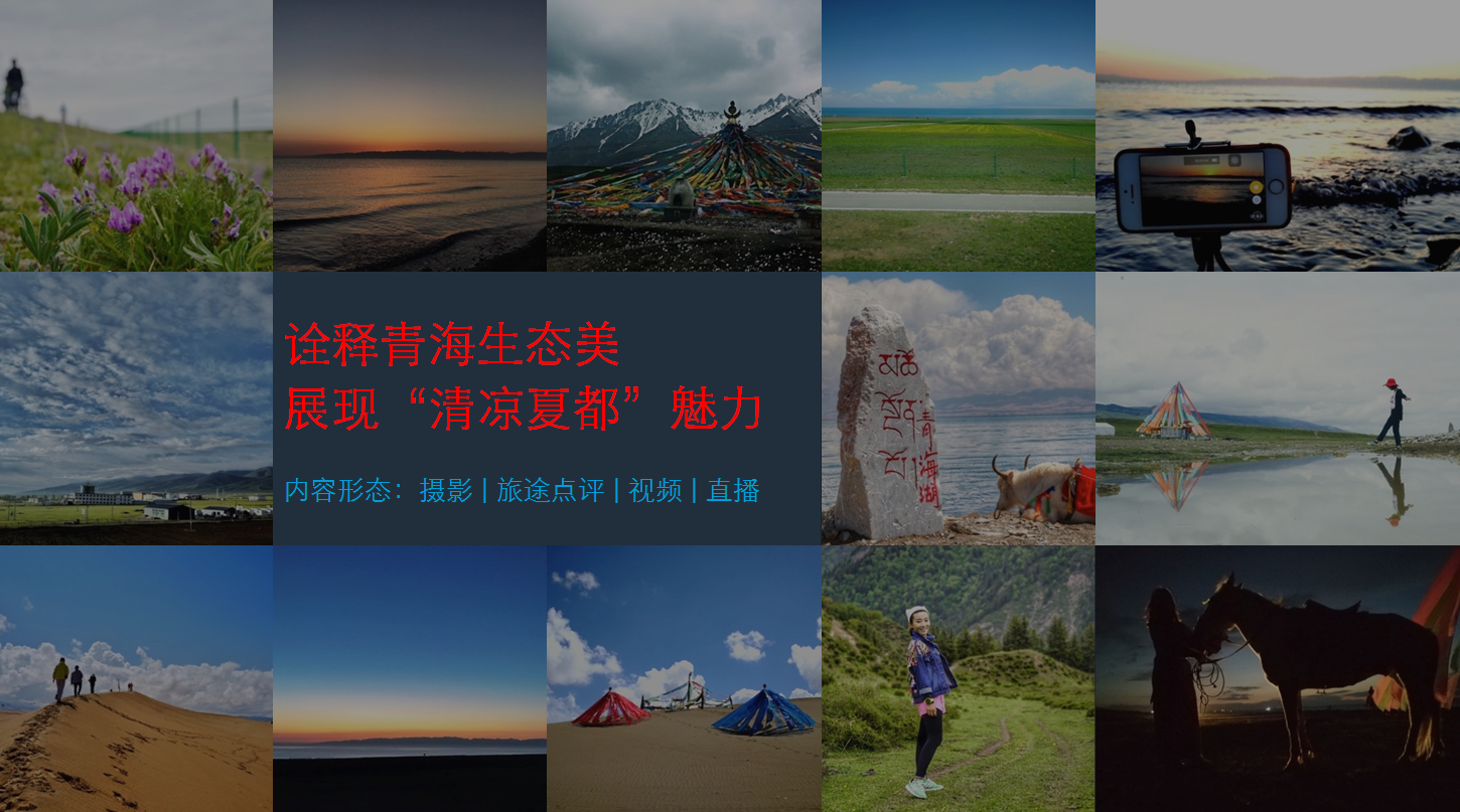 传媒新开，心灵与自然的奇妙之旅开启