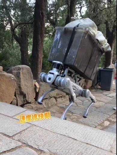 网友偶遇机器狗泰山载重物爬坡之旅与小巷深处的独特小店探秘
