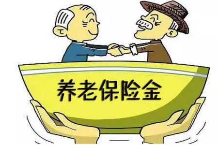 关于养老金的最新动态与消息更新