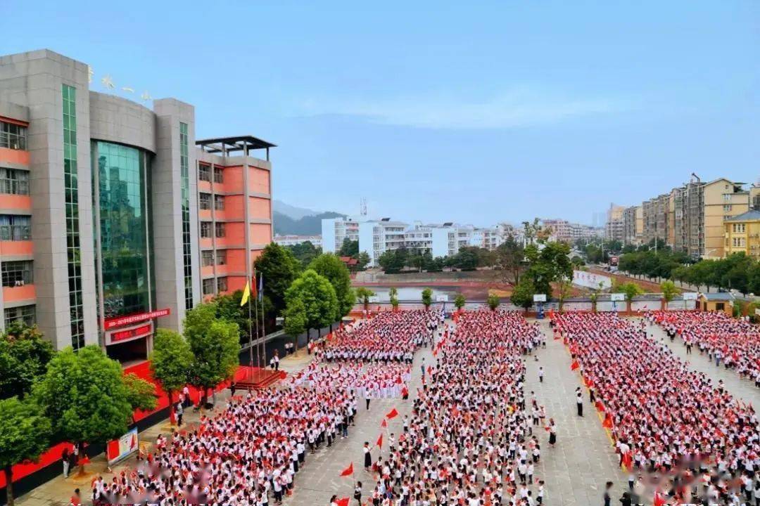 铜陵枞阳县最新新闻，学习之光，照亮未来之路