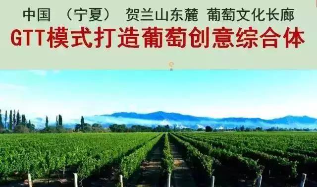 科技仙农，变化中的学习之旅与自信成就之源