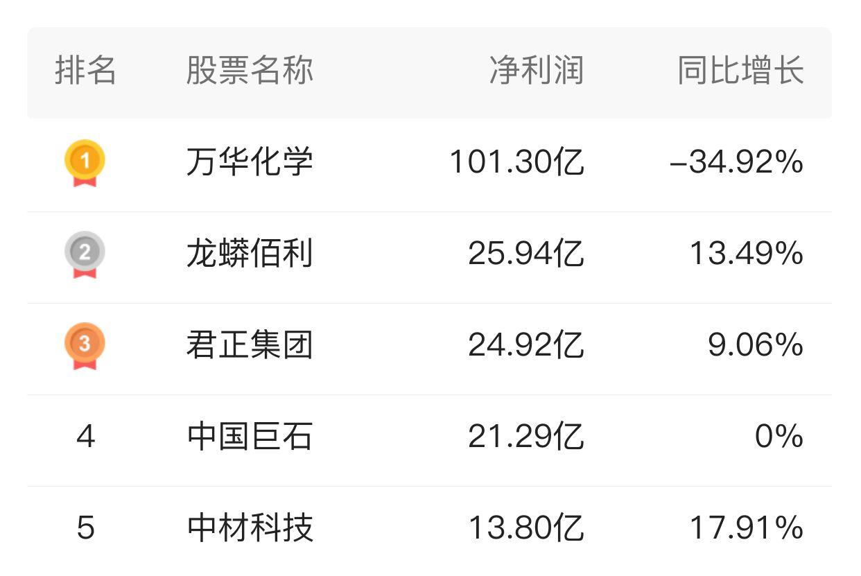 君正集团最新新闻及其获取指南