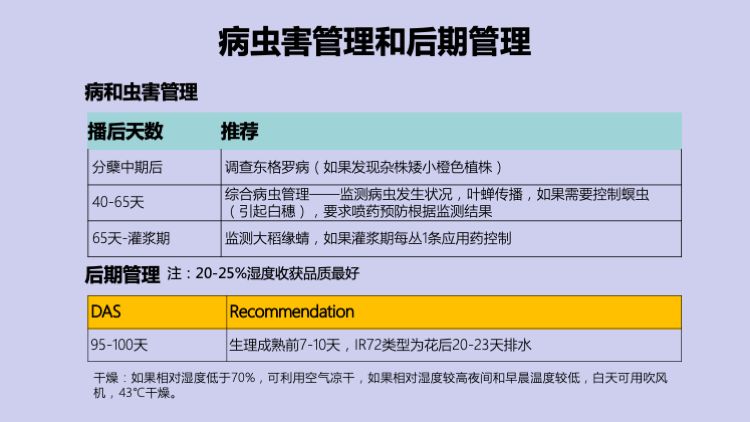 洮南最新新闻全攻略，初学者与进阶用户必备手册