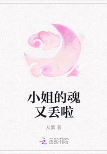 小说小姐最新章节概览