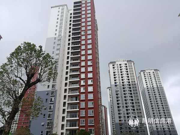楚雄市公租房最新动态更新通知
