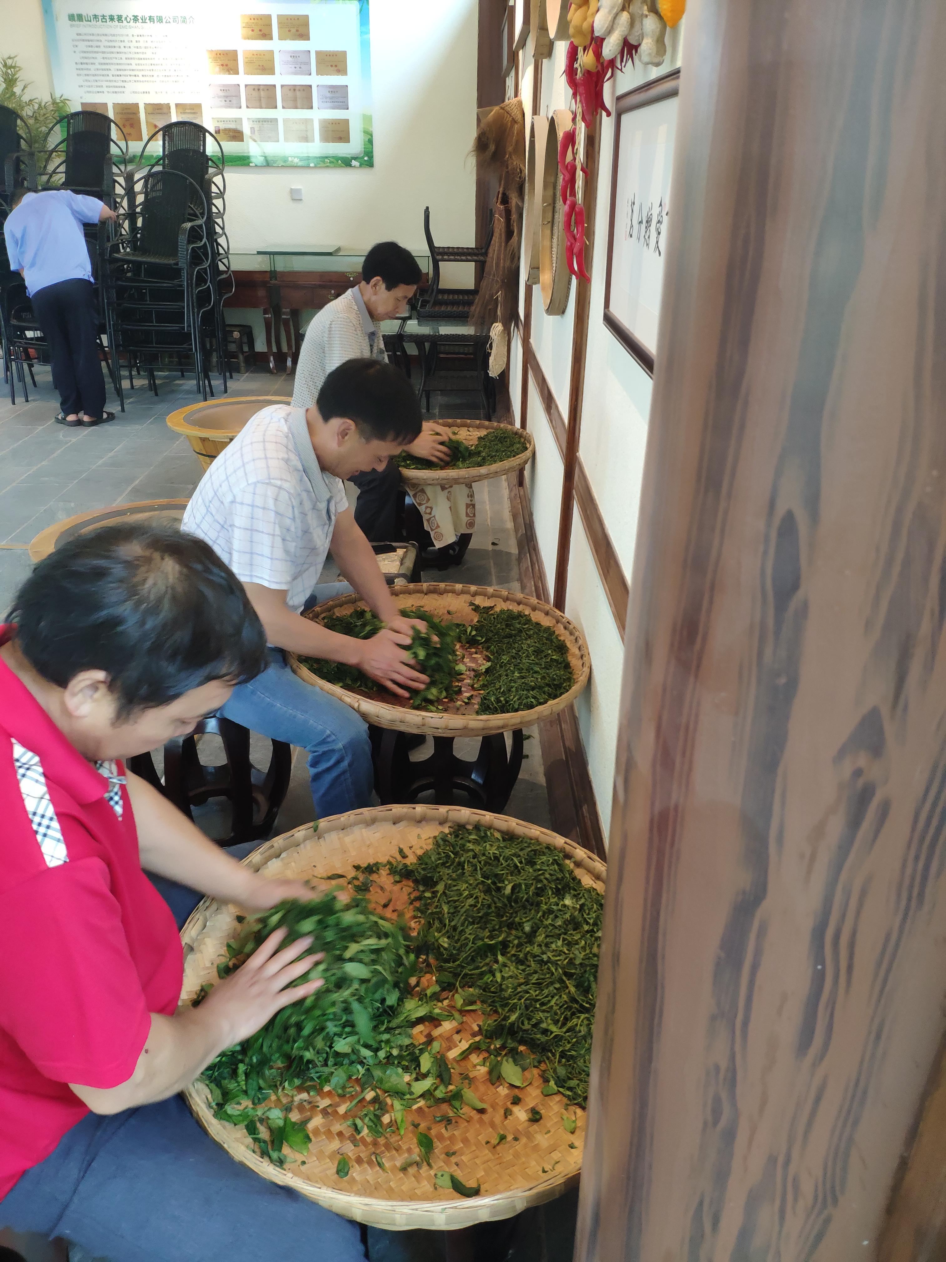 最新销售平台入门指南，从零开始打造你的销售帝国