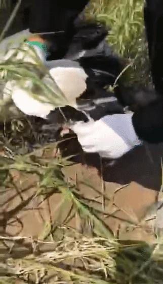 一只舟最新歌曲，引领音乐潮流的新航标