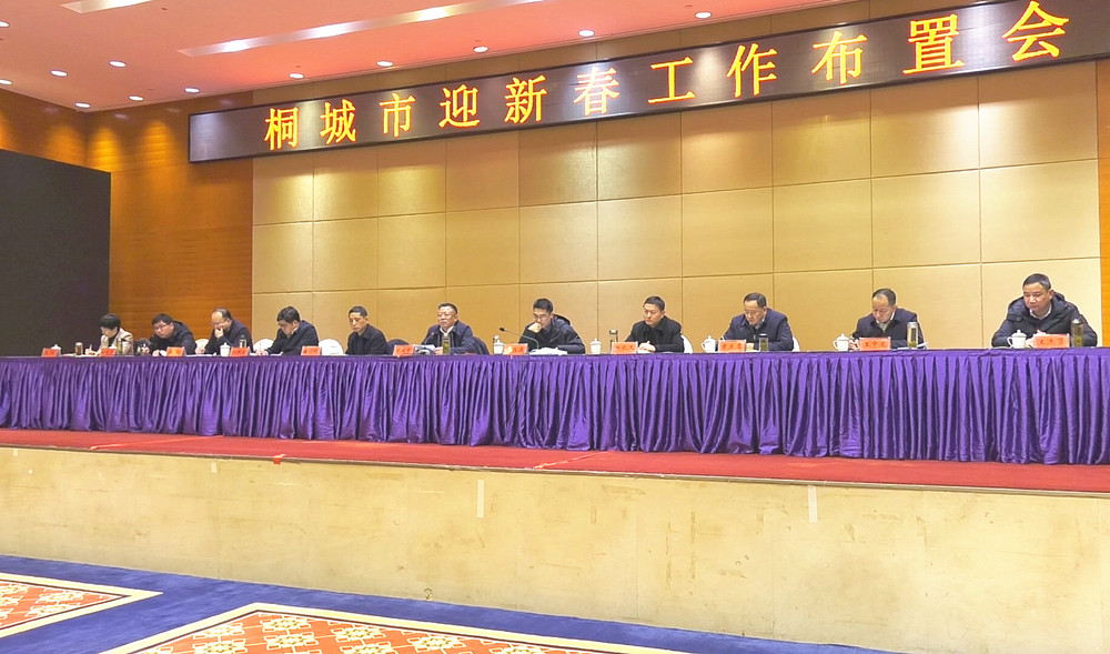桐城市最新新闻报道汇总