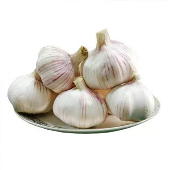邳州鲜蒜最新行情及价格信息
