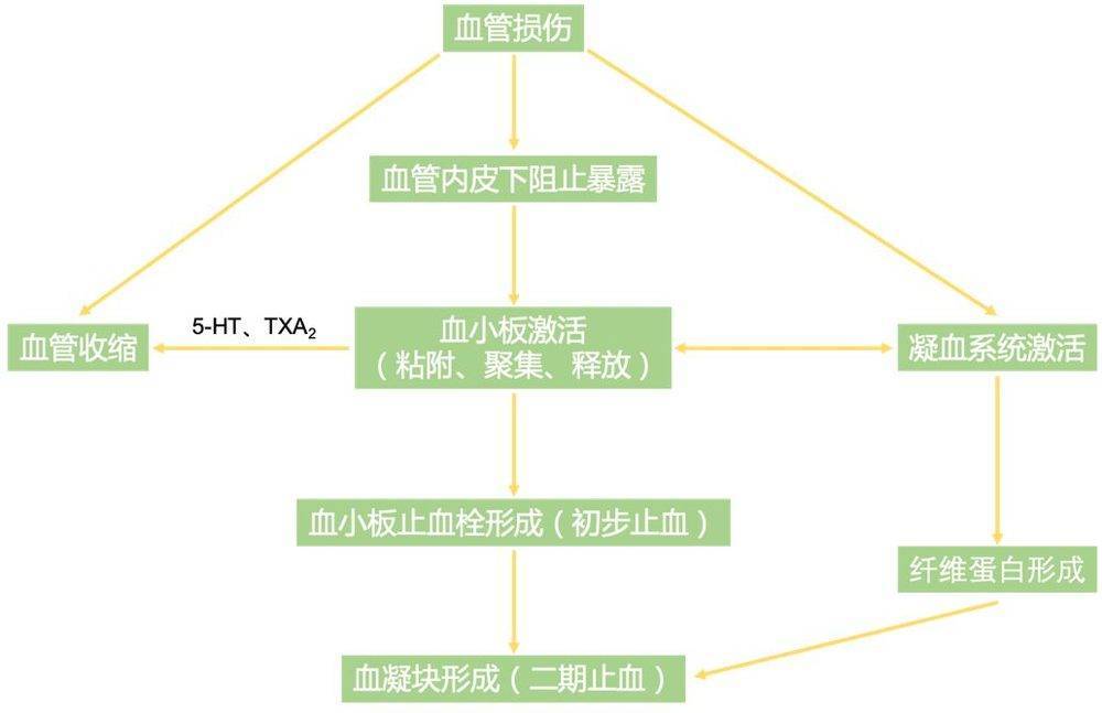 同德化工塑造行业先锋的历程与影响，最新消息揭秘其影响力之路