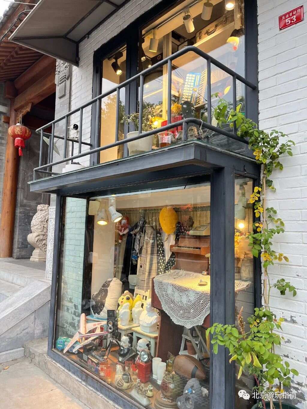 鲁信创投最新动态揭秘，小巷宝藏与特色小店的独特魅力