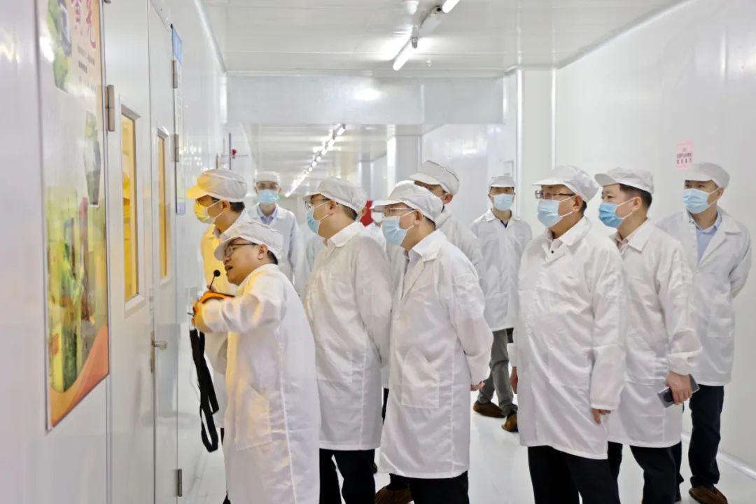 乾照光电最新动态及相关观点解析
