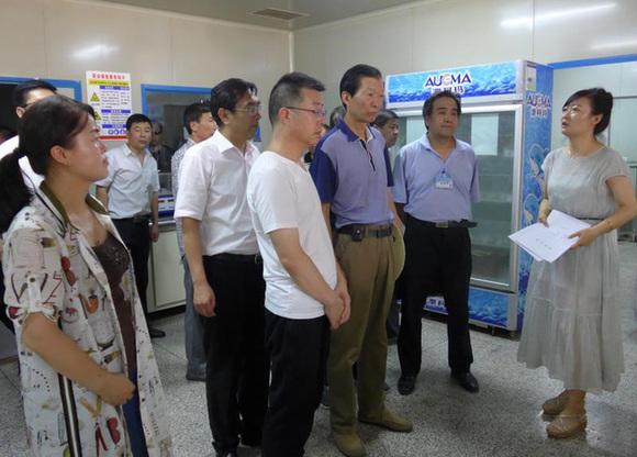 上海地铁19号线最新动态，时代脉搏与城市脉络的融合