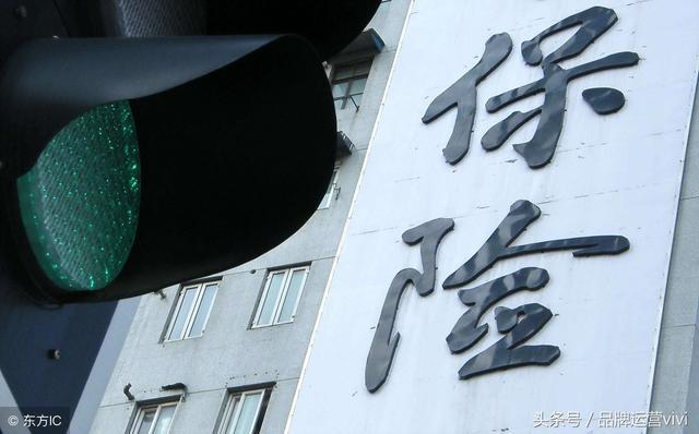 保险行业最新动态，小巷中的隐藏瑰宝揭秘