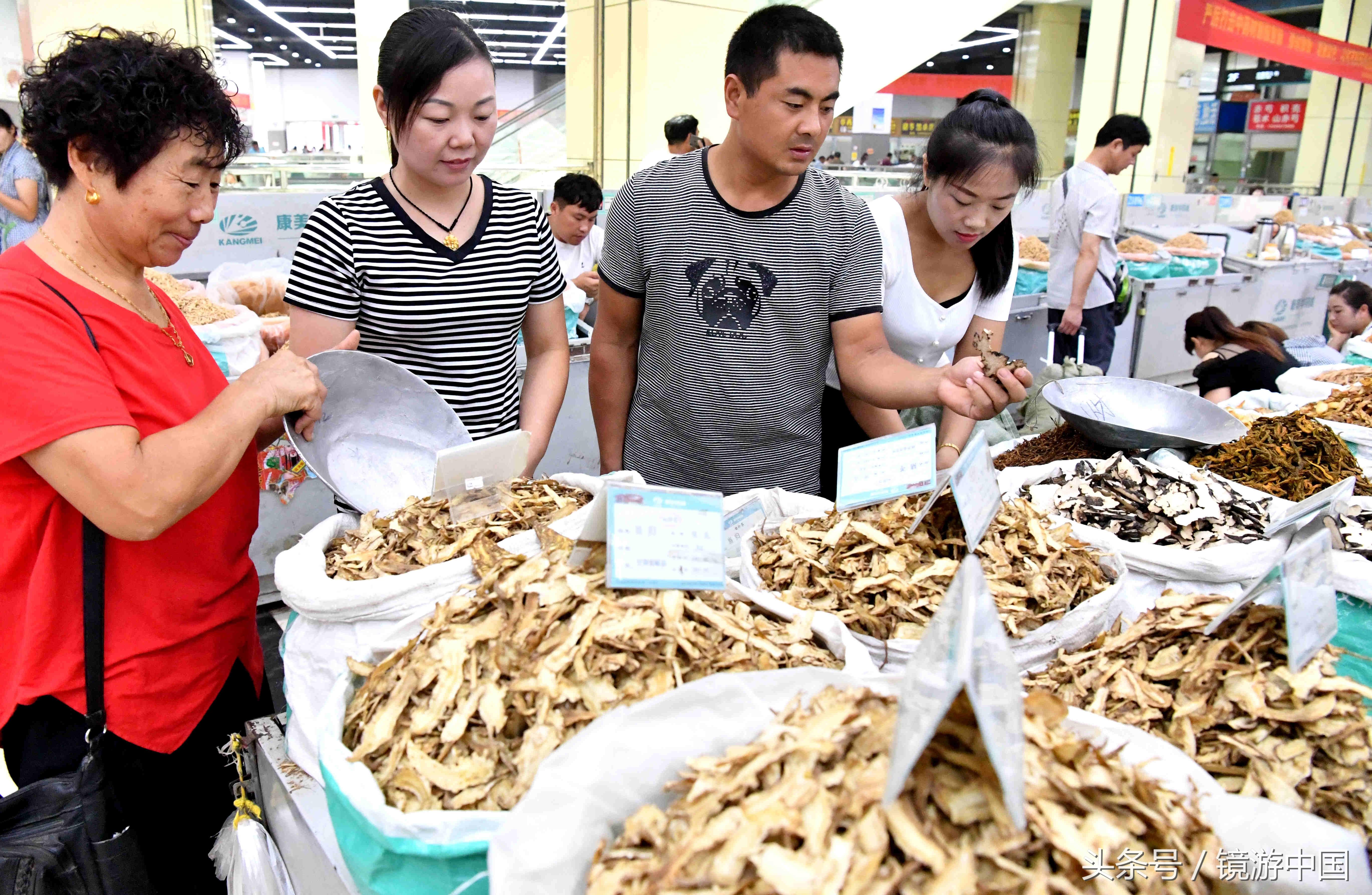 亳州白芷最新价格行情详解与获取指南