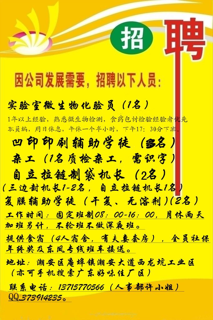 潮阳棉城最新招聘信息揭秘，温馨日常故事背后的求职指南