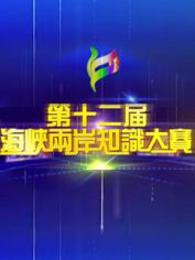 最新一期海峡两岸深度解读与影响力分析