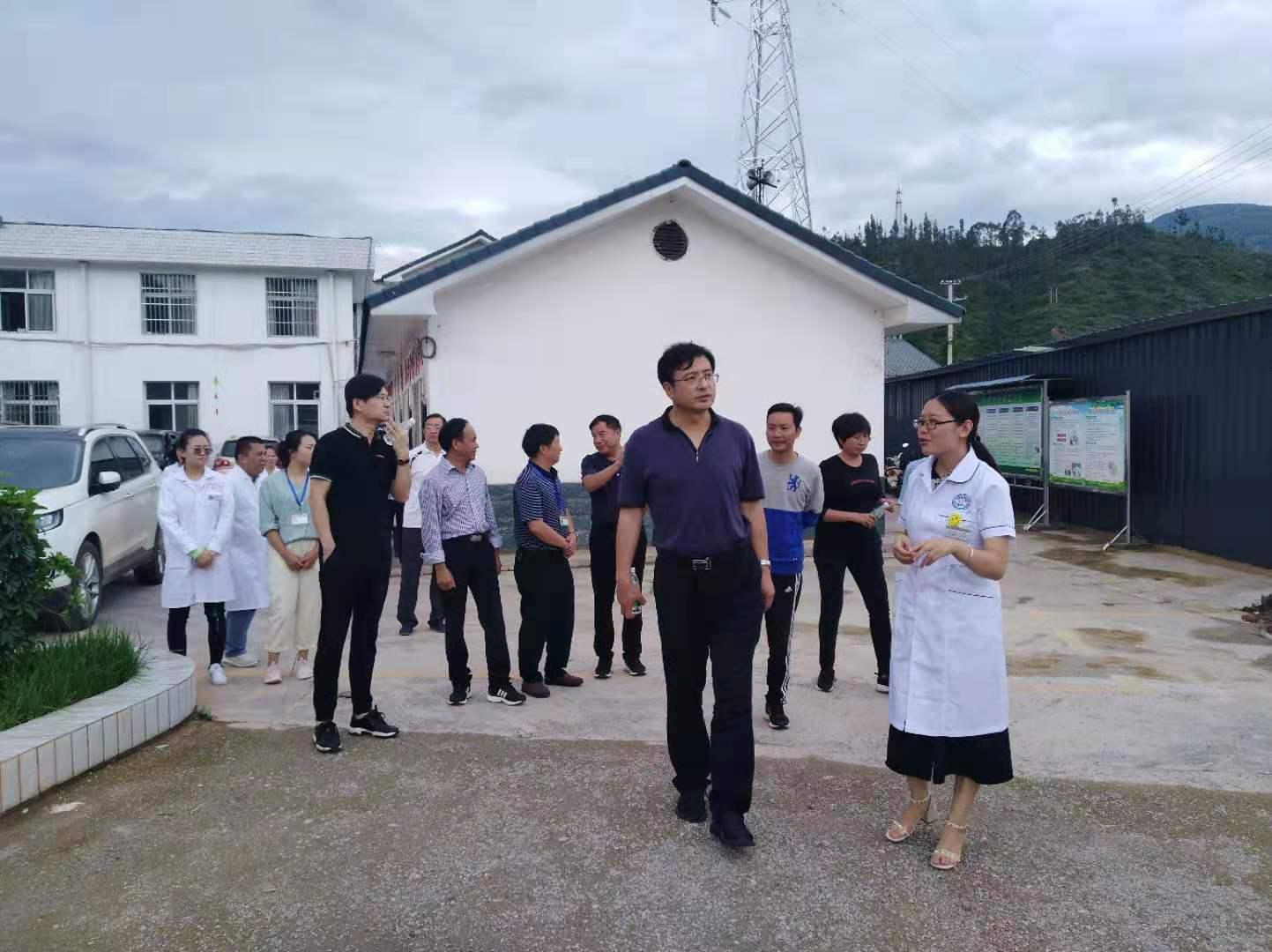 最新港剧保险，繁荣背景与时代影响探究