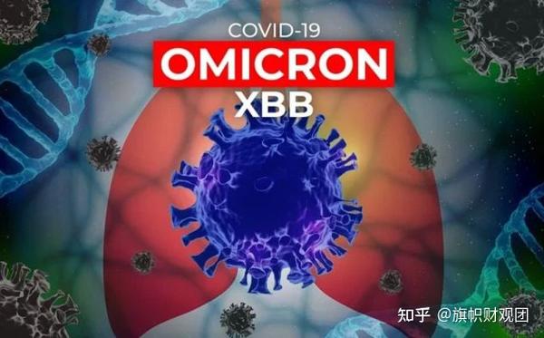 最新病毒M，全面科普、应对策略与防范警示🚨