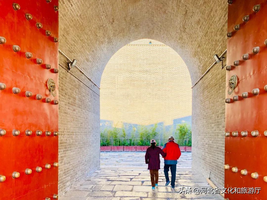 最新研究O型，自然之旅探寻内心平和
