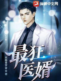 深度解读豪婿，最新评价与作品吸引力分析