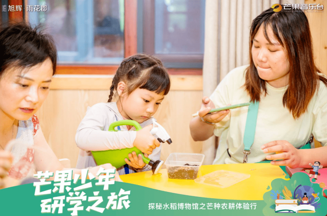 第377页