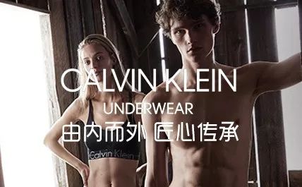 最新男同vin，引领高科技产品革新，重塑未来生活体验的力量之源
