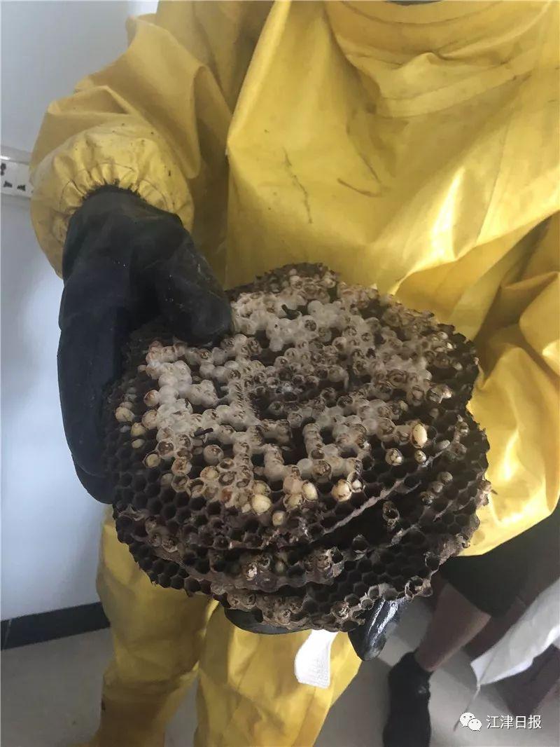 消防材料最新更新，轻松之旅探索自然美景的必备装备