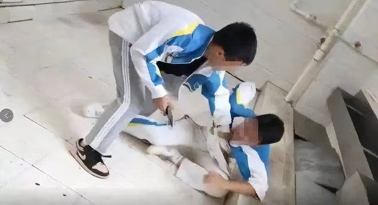 校园霸凌阴影下的无声呐喊，青少年霸凌事件深度剖析，一名受害者的悲剧与警示