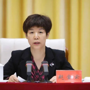 甘肃省政府副省长赵金云被查背后的科技新星，尖端科技产品引领生活新风尚
