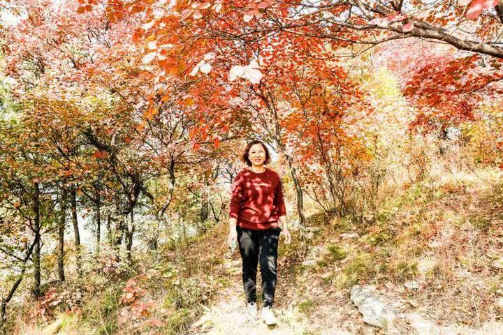 五彩斑斓的秋天，无尽的美景令人陶醉