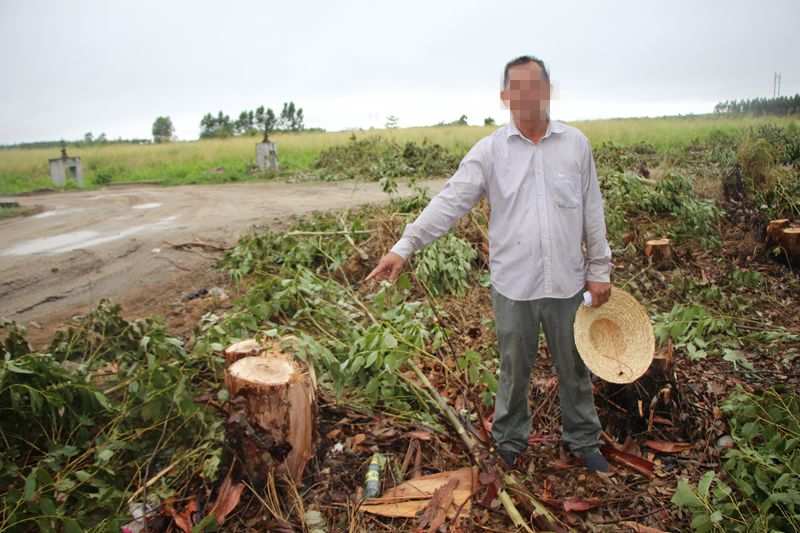 黄河湿地滥伐事件，六人因滥伐40棵林木被捕，背后的日常故事揭秘
