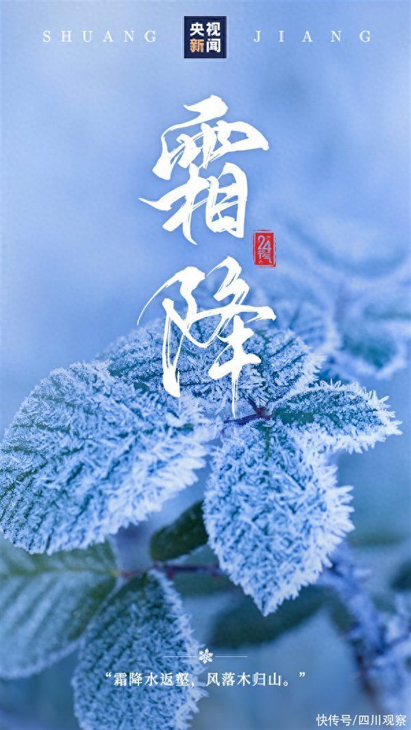 霜降时节温差显著变化，力量与自信的交响曲