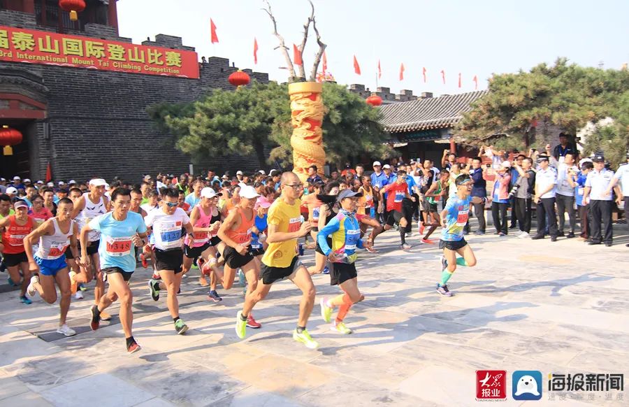 泰安跑的公司深度解析与探讨，哪家公司值得选择？