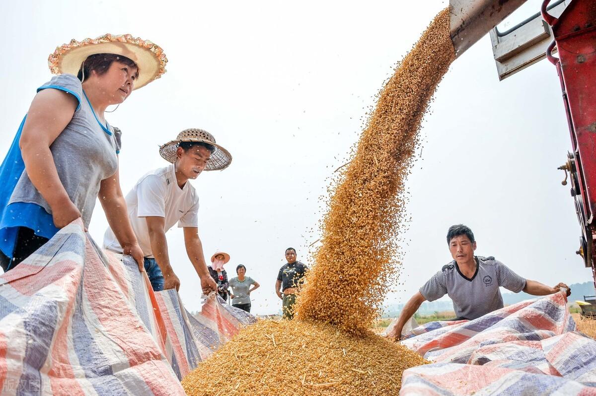 尊重联想，一场心灵平静之旅的探寻