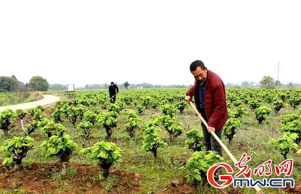 江西高中运动会绿色序曲与自然之旅探秘