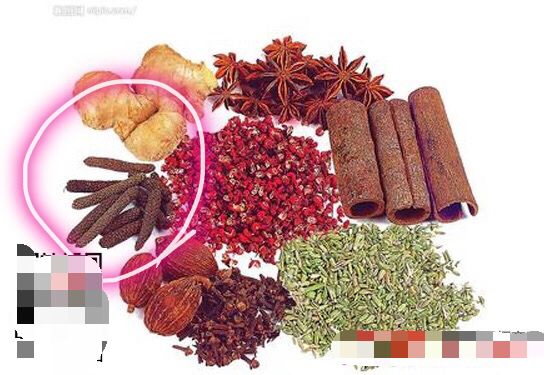 味道，最优质的香料之源