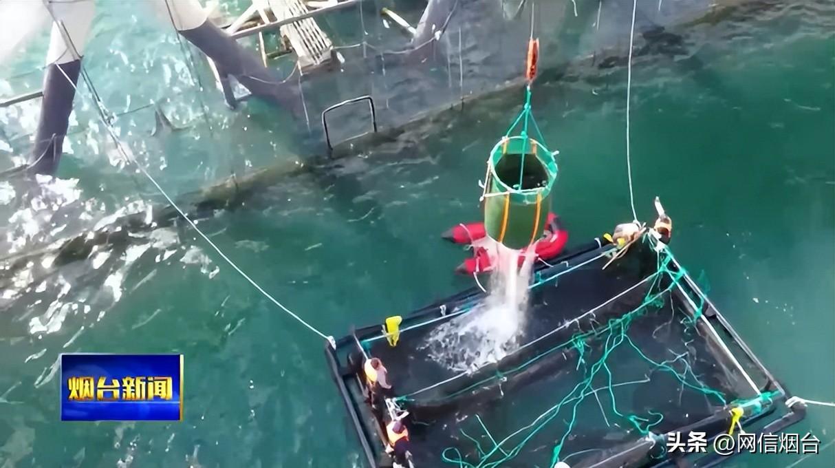 中国深远海发电，开启海洋能源新纪元