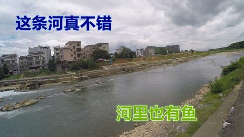 荆门购买缸的优质选择指南，全面带您寻找售卖缸的地点