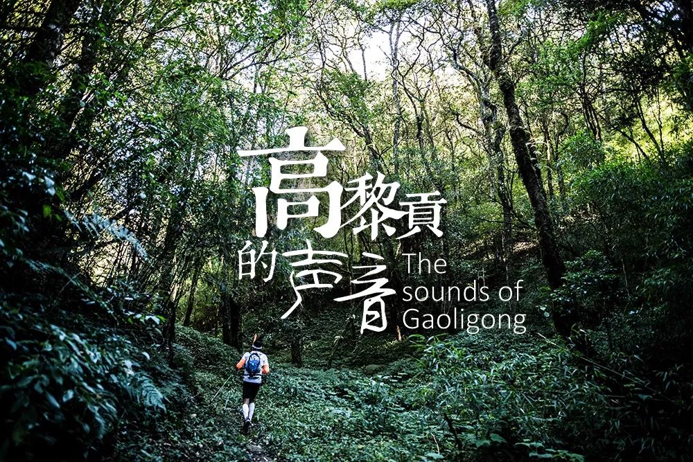 深圳市政协副主席王幼鹏被查及其心灵探索之旅背后的力量揭秘