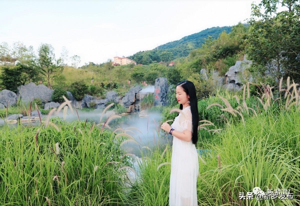 依法规范市场秩序