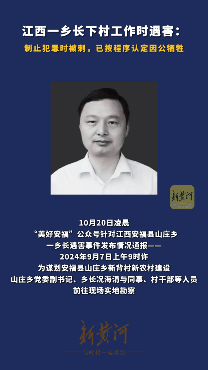 官方通报，乡长下村工作时遇害事件深度分析与观点阐述
