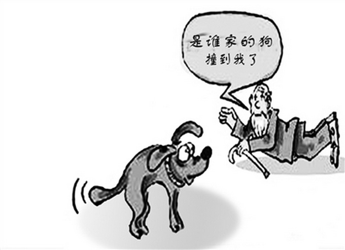 遗弃宠物狗