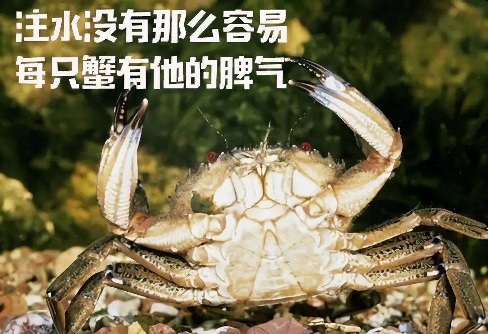 立式自动焊机 第1038页