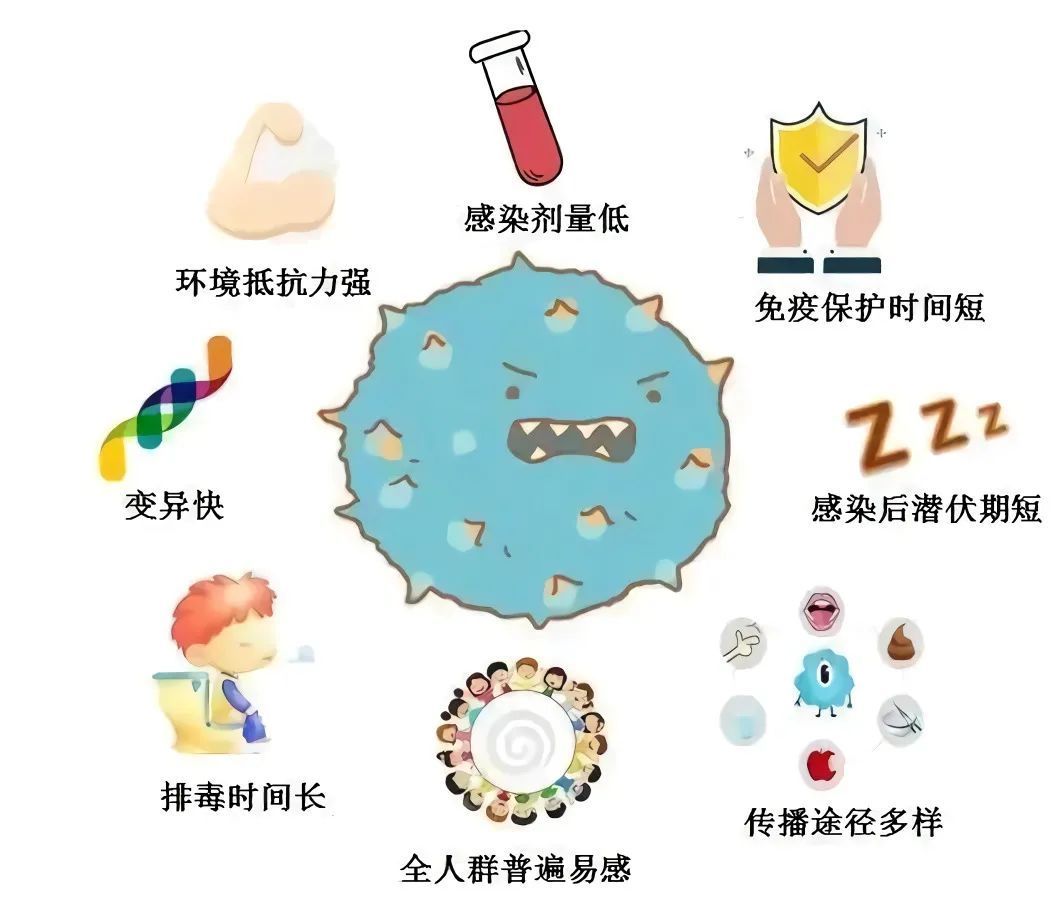 诺如病毒高发季全面解析，预防、应对知识一网打尽