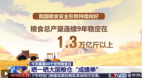 大国粮仓的科技密码，科技填充与解读之道