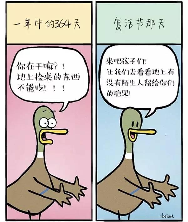 鳄鱼上街被擒拿，日常趣事一桩