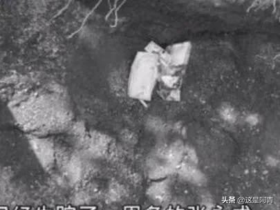 四川回应菜地被插违规事件，真相与反思背后的故事