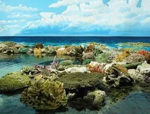 海滩撒花蛤的奇妙之旅，小巷美食与海滩的惊喜相遇