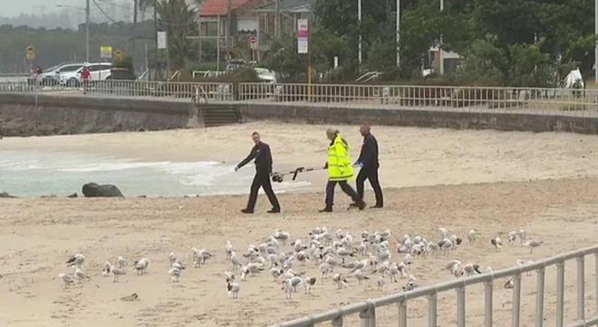 警方公布辛瓦尔遗体旅程录像，自然美景与心灵平静之旅的交织记忆